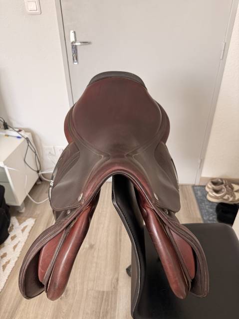 Sella da salto ostacoli CWD  17" - 2016