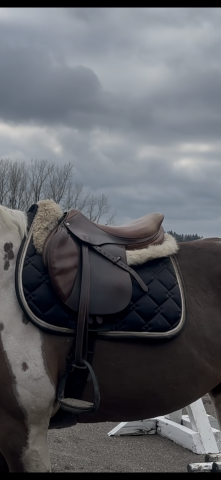 Sella da salto ostacoli Forestier  17.5" - 2009