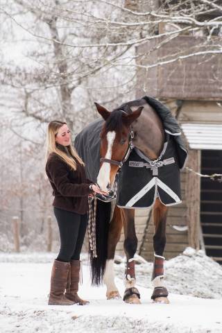 Castrone Sella Francese In vendita 2018 Baio ,  Jo de la Barde