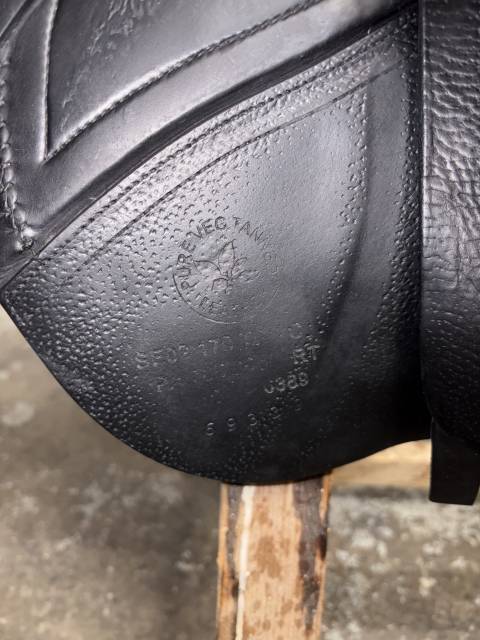 Sella da salto ostacoli CWD  17" - 2022