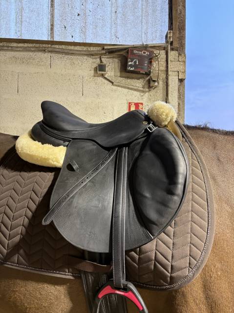 Sella da salto ostacoli CWD  17" - 2022