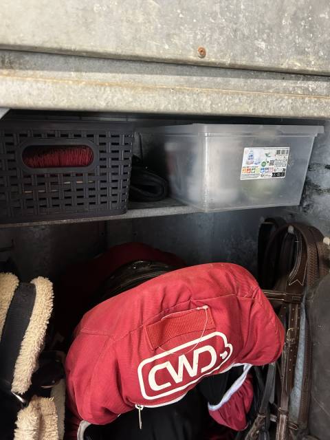 Sella da salto ostacoli CWD  17" - 2022