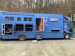 Camion per Cavalli Renault 44HH1 2011 Occasione