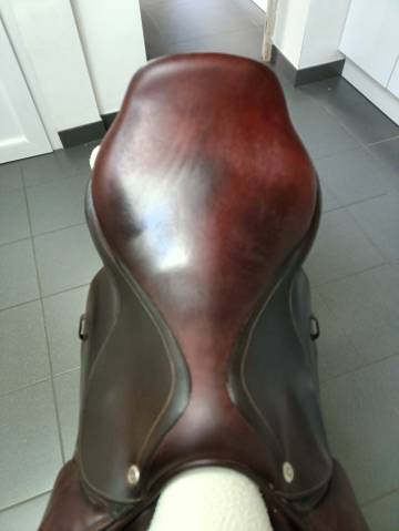 Sella mista CWD  17.5" - 2017