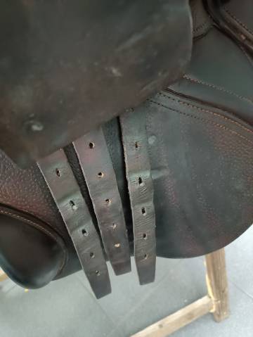 Sella mista CWD  17.5" - 2017