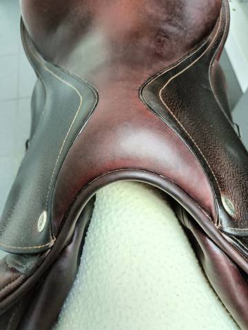 Sella mista CWD  17.5" - 2017