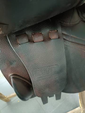 Sella mista CWD  17.5" - 2017