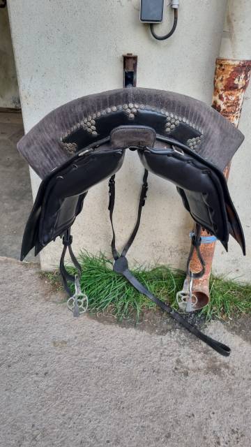 Sella spagnola   17" - 2014