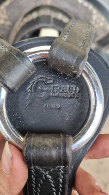 Sella spagnola   17" - 2014