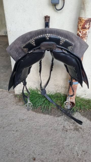 Sella spagnola   17" - 2014