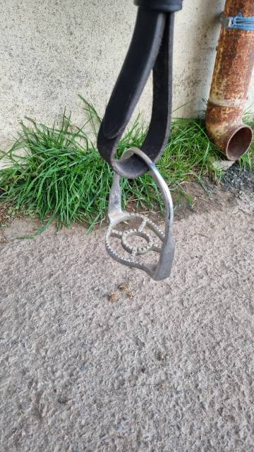 Sella spagnola   17" - 2014