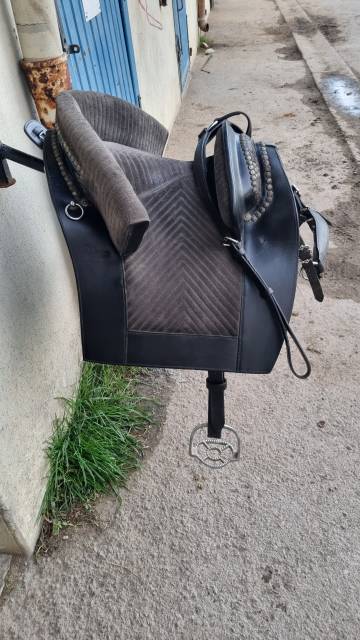 Sella spagnola   17" - 2014