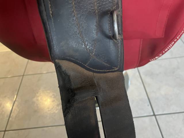 Sella da salto ostacoli CWD  17.5" - 2016