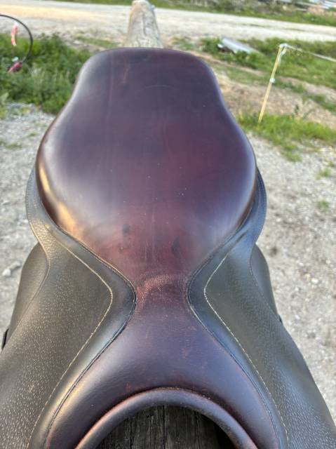 Sella mista CWD  17.5" - 2015