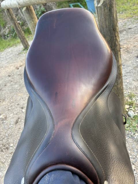 Sella mista CWD  17.5" - 2015