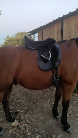 Sella da dressage Tekna  17.5" - 2010