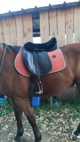 Sella da dressage Tekna  17.5" - 2010