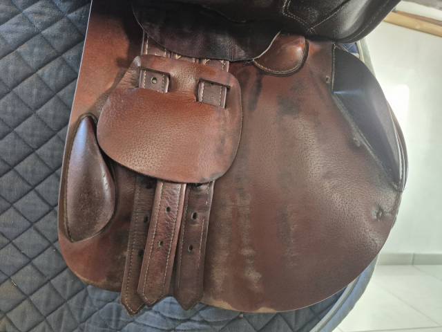 Sella da salto ostacoli Prestige Italia  17" - 2010