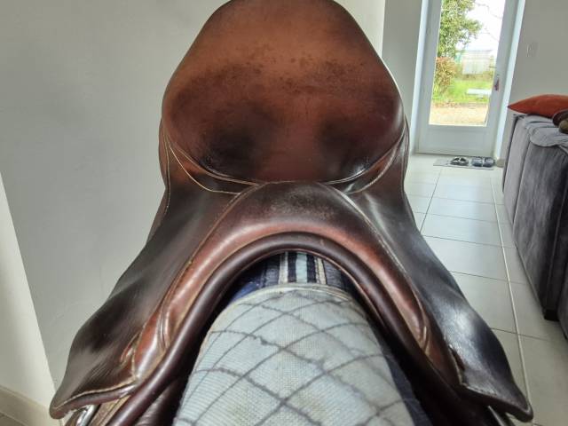 Sella da salto ostacoli Prestige Italia  17" - 2010