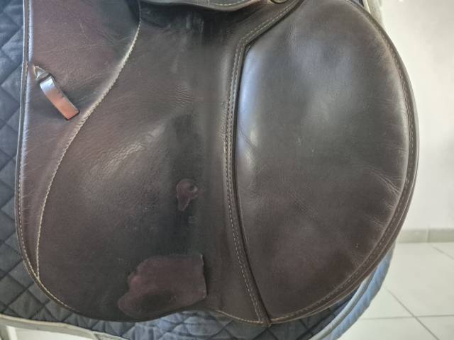 Sella da salto ostacoli Prestige Italia  17" - 2010