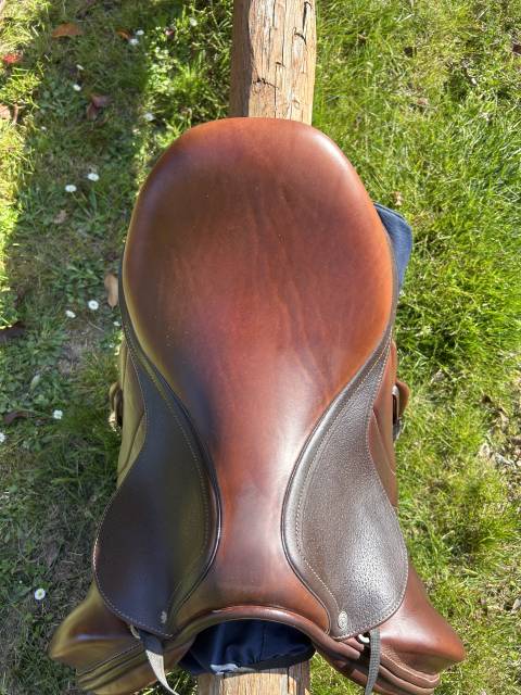 Sella da salto ostacoli Altair  17.5" - 2023