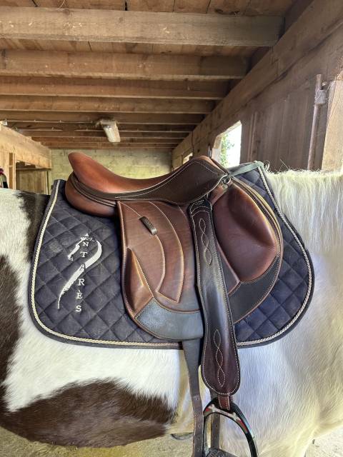 Sella da salto ostacoli Altair  17.5" - 2023