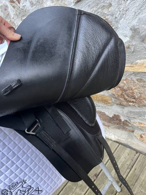 Sella da dressage Fairfax  17" - 2023