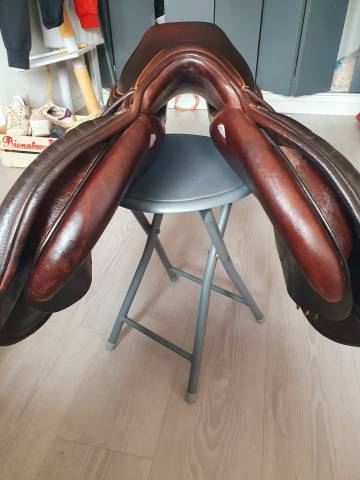 Sella da salto ostacoli Mondange  17" - 2020