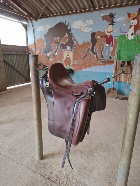 Sella portoghese  KLL Lusitanus evo 17.5" - 2023