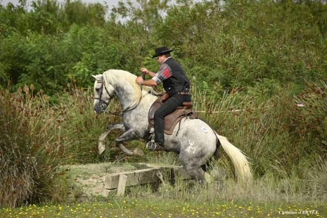 Jackpot de L'Estelle - Camargue 2019 ,  TRITON DU CLAUD