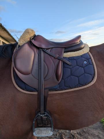 Sella da cross Devoucoux  17.5" - 2021