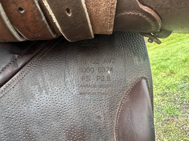 Sella da salto ostacoli GBS  17" - 2024