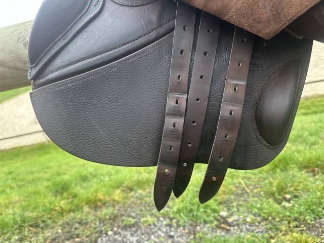 Sella da salto ostacoli GBS  17" - 2024