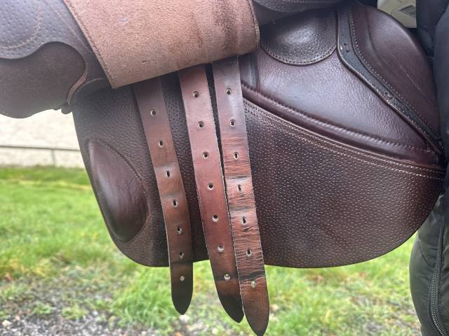 Sella da salto ostacoli GBS  17" - 2024