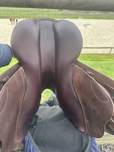 Sella da salto ostacoli GBS  17" - 2024