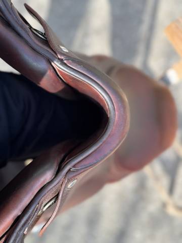 Sella mista Meyer  16.5" - 2018