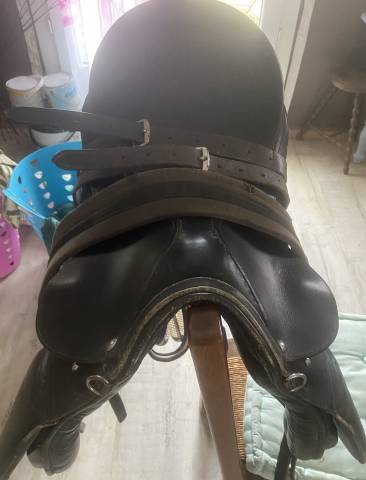 Sella da dressage   18" - 2015