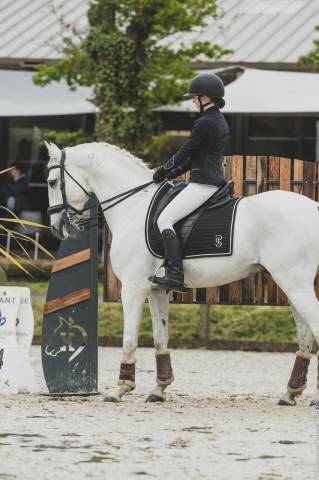 Stallone Lusitano In vendita 2014 Bianco ,  ADIDO INTERAGRO