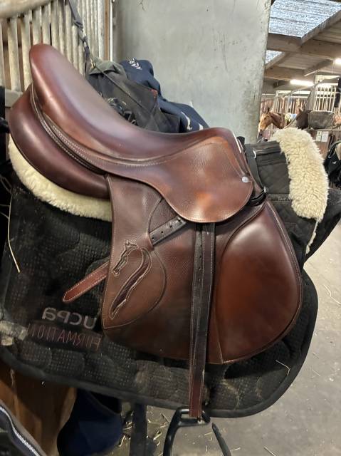 Sella da salto ostacoli Antar&egrave;s  17.5" - 2018