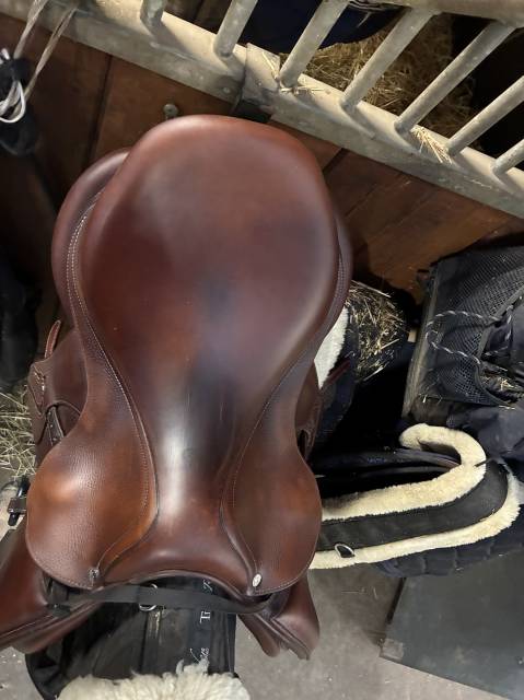 Sella da salto ostacoli Antar&egrave;s  17.5" - 2018