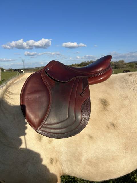 Sella da salto ostacoli CWD  18" - 2022