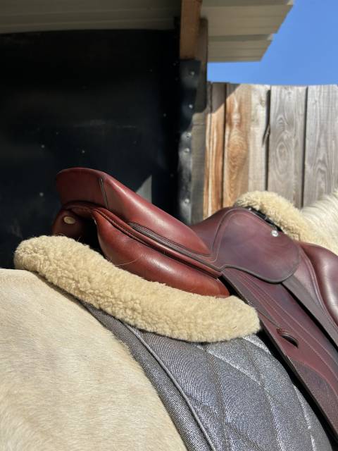 Sella da salto ostacoli CWD  18" - 2022