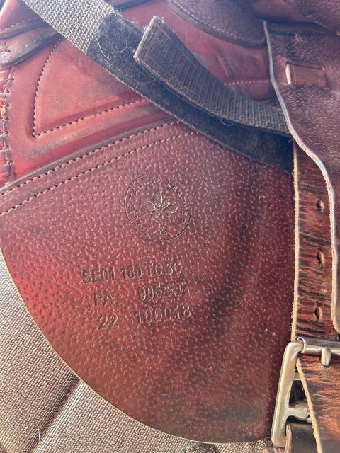 Sella da salto ostacoli CWD  18" - 2022