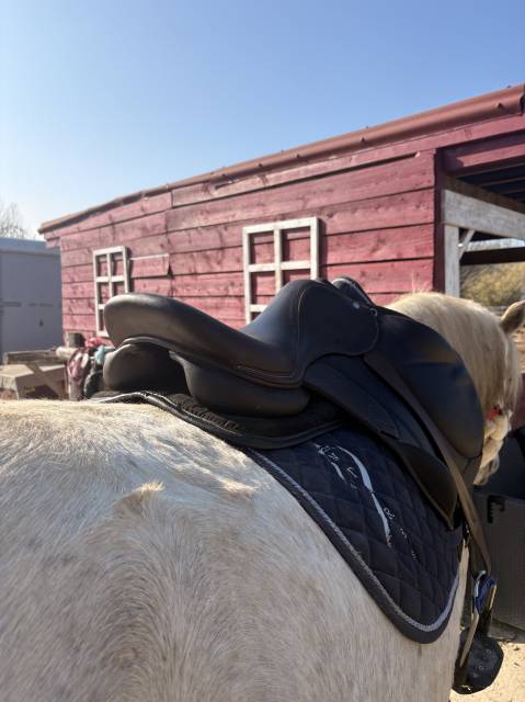 Sella mista Rebelle  18" - 2021