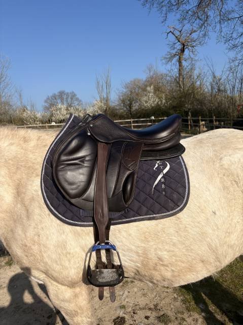 Sella mista Rebelle  18" - 2021