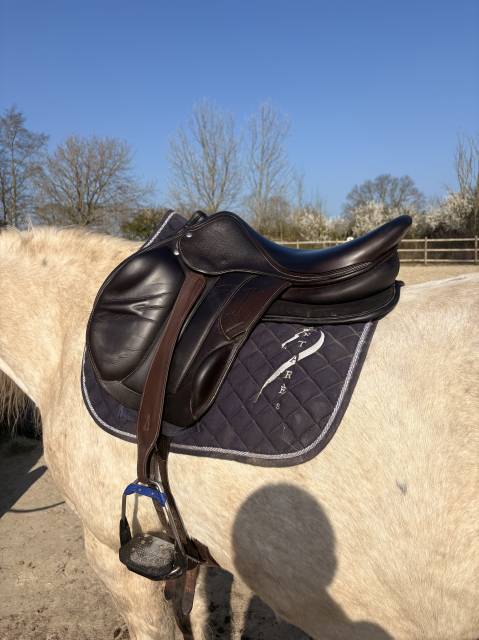 Sella mista Rebelle  18" - 2021