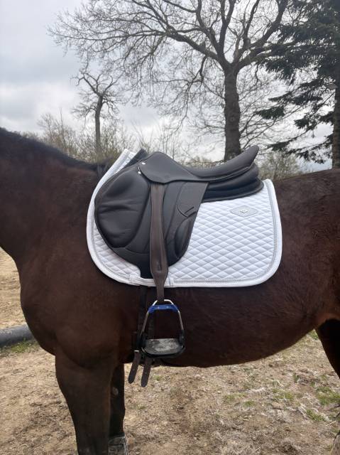 Sella mista Rebelle  18" - 2021