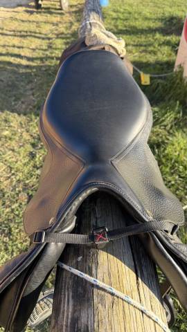 Sella mista   17.5" - 2020