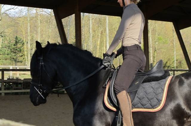  - Altra Marca - Occasione