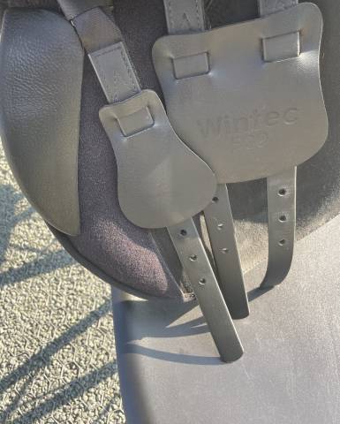 Sella sintetica Wintec  17.5" - 2021